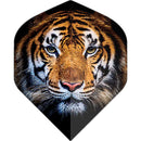 Designa Tiger Face Dart Flights - Standard No.2