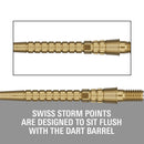 Target Swiss Storm Chrono Dart Points