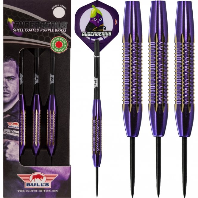 Dirk Van Duijvenbode Aubergenius Brass Darts 21 Gram